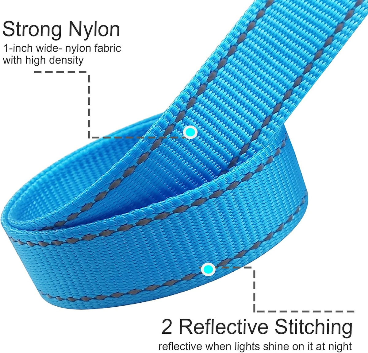 10FT Dog Leash with Traffic Handle Reflective Large Medium Dogs – Essentials for Dogs - 10ft x 1 in / blue - image 3