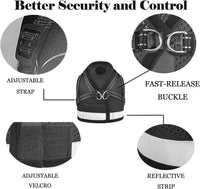 Cat Harness and Leash Set - Black / S (Chest: 9" - 11") - image 2