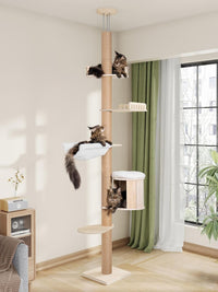 10.2ft Floor to Ceiling Cat Tree for Large Cats, Tall Cat Tower – Essentials for Cats