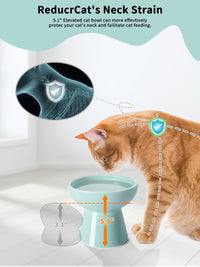Elevated Cat Food and Water Bowls Set - 2 Pack (Food & Water Bowls) / Blue - image 4