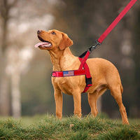 Annchwool No Pull Dog Harness with Soft Padded Handle - S / Red - image 3