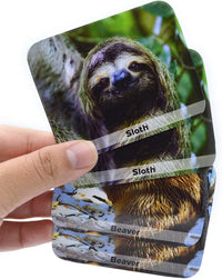 Menique Wild Animals Memory Matching Game – 80 Cards (40 Pairs) with Real Photos – Includes Educational Booklet with Animal Facts – Fun & Cognitive Game for Kids and Adults