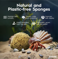 Naroa pack of 5 natural unbleached hermit crab sea sponges - view 2