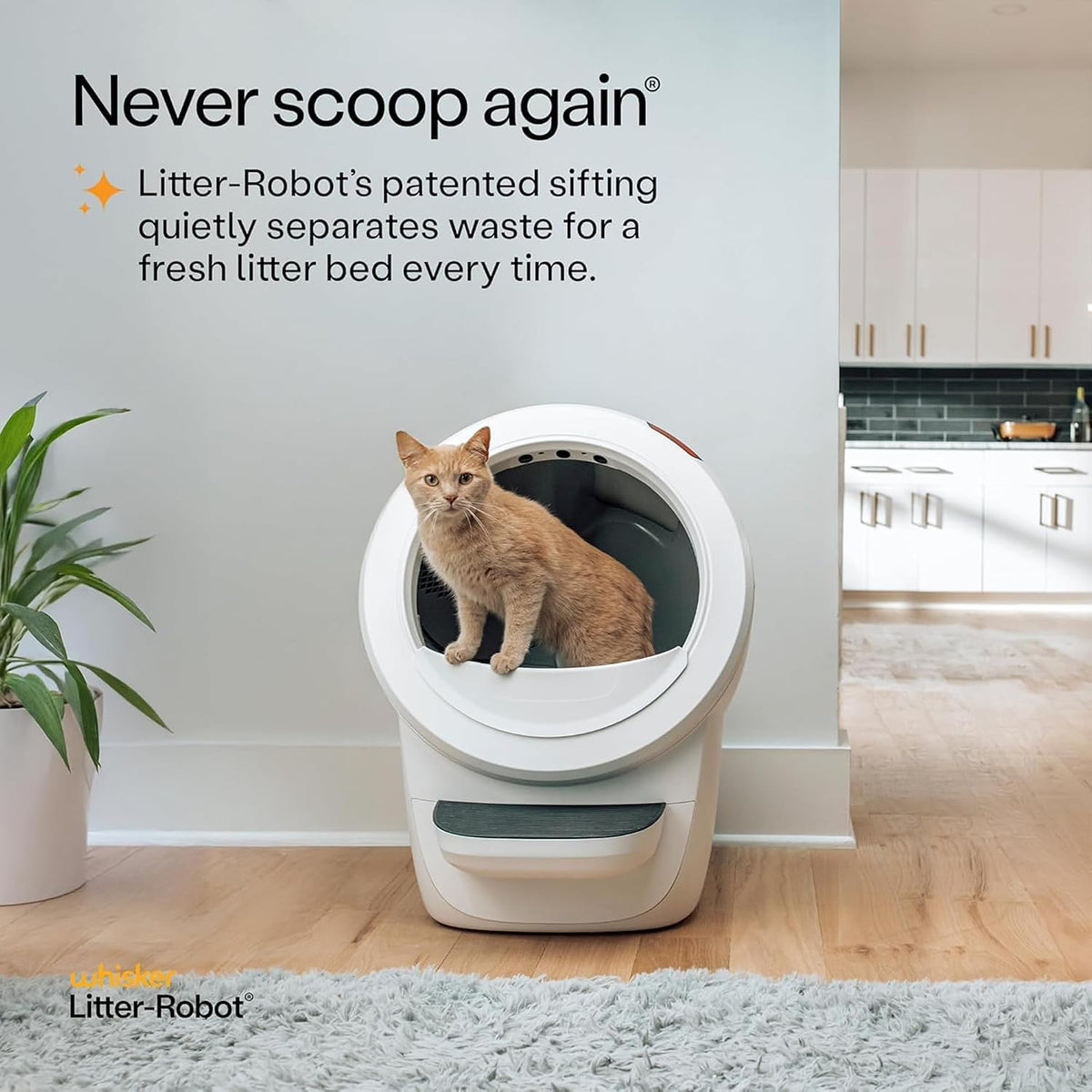 Whisker Litter-Robot 4 Supply & Accessory Bundle, Automatic - White / Supply & Accessory Bundle - image 3