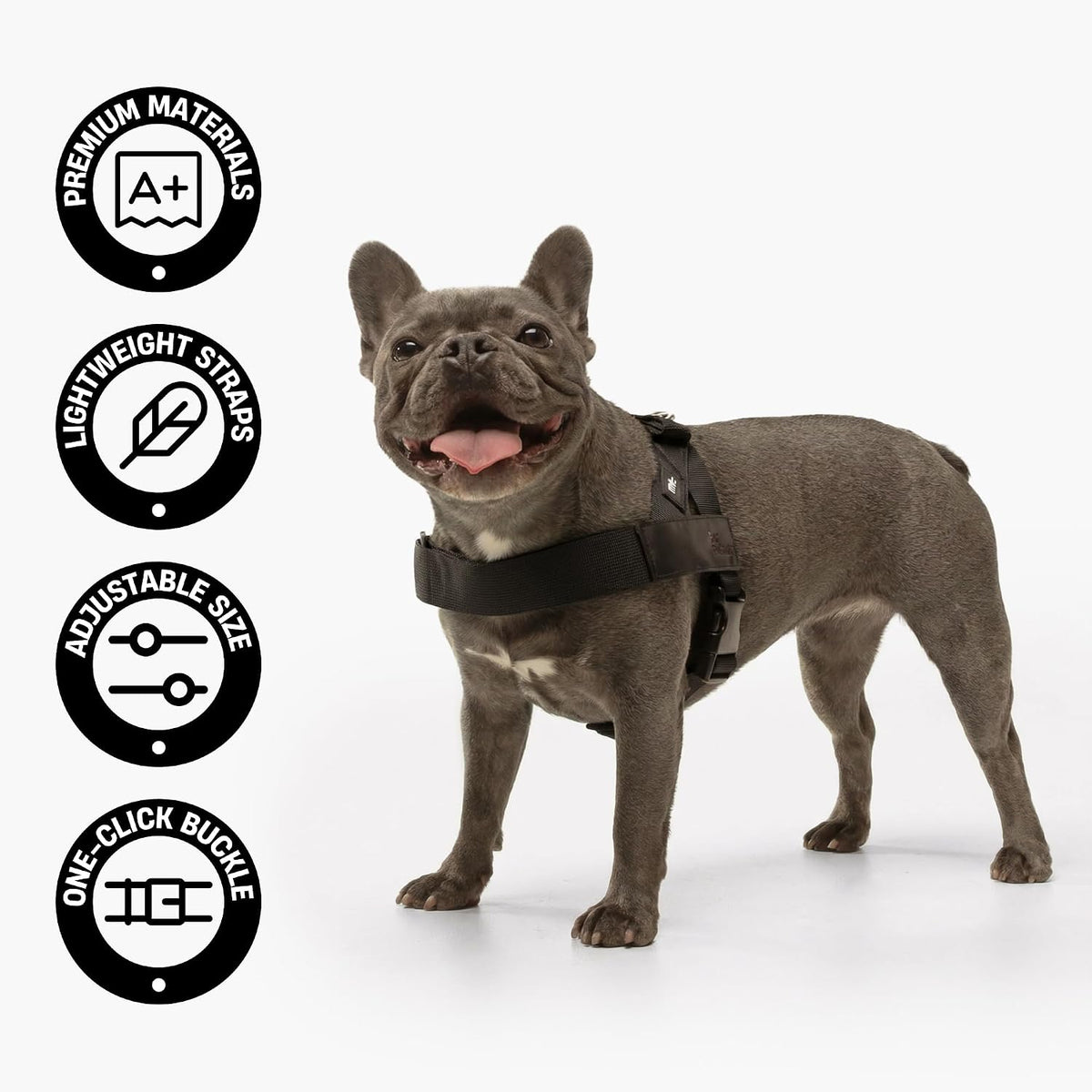 Dog Friendly Co. Dog Harness for Medium Sized Dogs – Essentials for Dogs - Red / Large - image 4