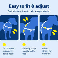 PetSafe Easy Walk Harness, No Pull Dog Harness, Royal Blue - Tan/Brown / Medium / 1 - image 2