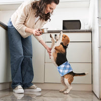 Pet Soft Dog Belly Bands - Washable Dog Diapers Belly Band for Male Dogs, Reusable Male Dogs Wraps - Blue Plaid / X-Small (NewBorn 7''-8'') - image 4