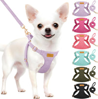 SlowTon No Pull Dog Harness with Leash for Small Medium Dogs - Small(11-17.5lb) / Solid Purple
