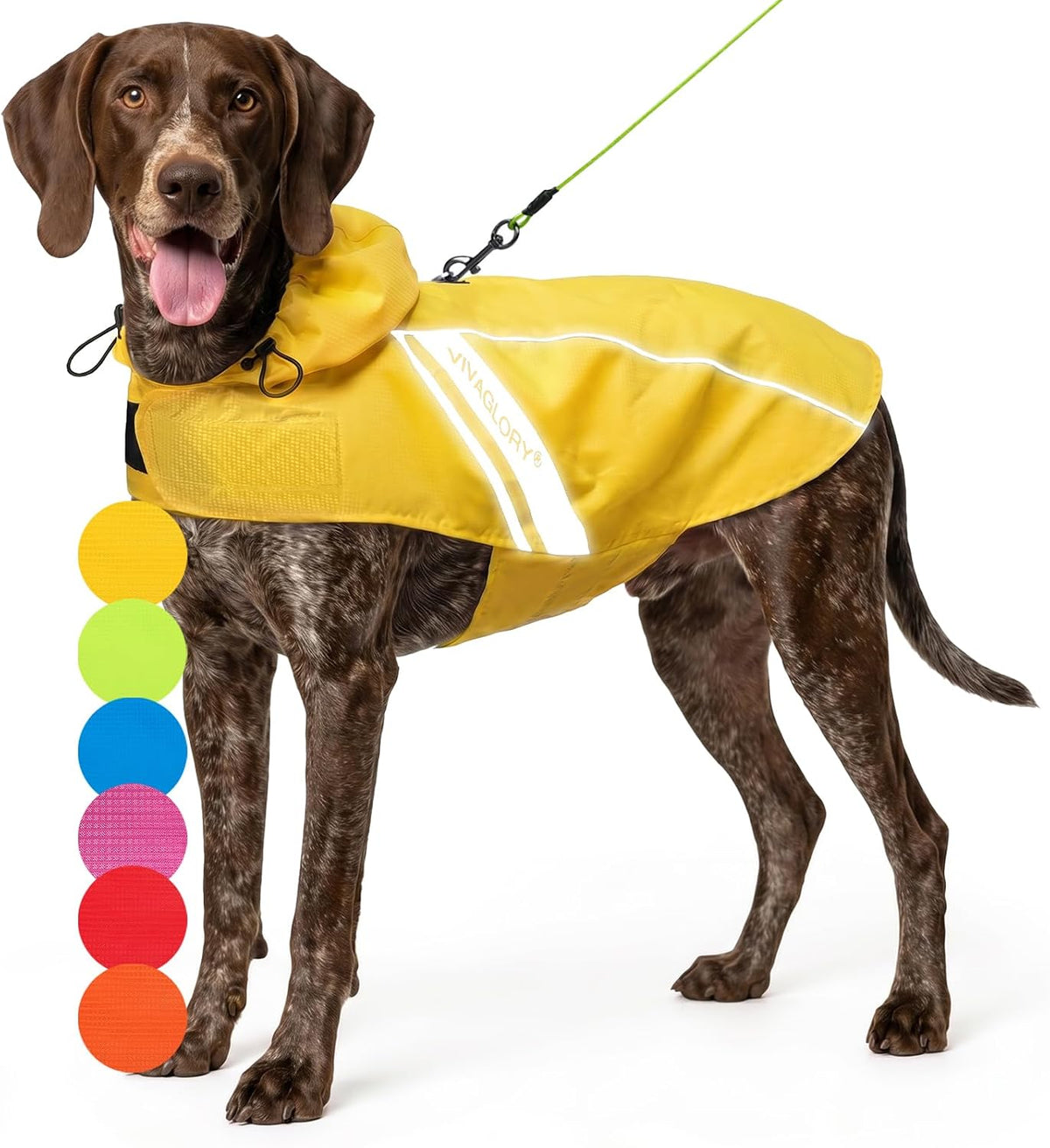 VIVAGLORY Dog Raincoat Wetoff Dog Rain Coat, XS - Yellow / XL (30"-34" chest girth)
