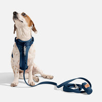 Wild One navy no-pull dog harness size medium with padded body - view 3