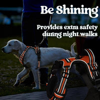 rabbitgoo Dog Harness Medium Sized, No Pull Pet Harness with 3 Buckles, Adjustable Soft Padded Vest with Control Handle, Walking Reflective Pet Vest for Medium Dogs, Orange, M