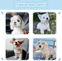 Medium Dog Collars for Male Dogs - Blue Dinosaur / L - image 3
