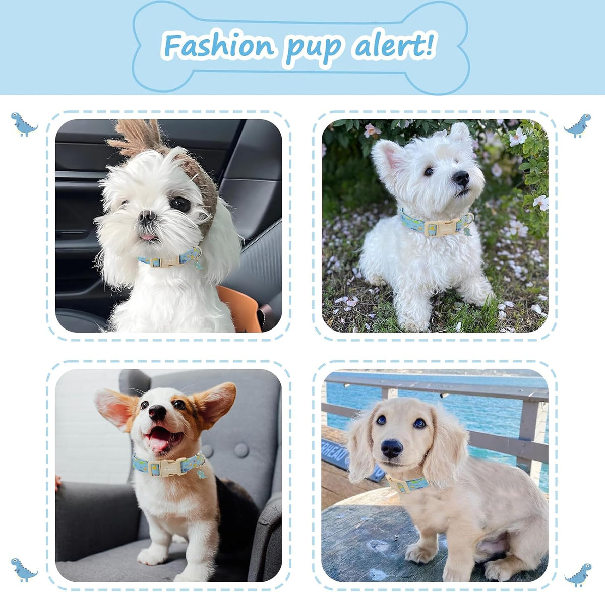 Medium Dog Collars for Male Dogs - Blue Dinosaur / L - image 3