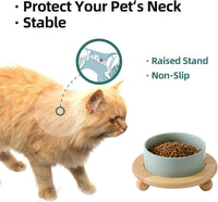Cat Bowls Set of Two, 5.1” Ceramic Cat Food Bowls - Light Green / Bowl+Tray - 5.1" - image 4