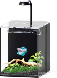 Small Betta Fish Tank Aquarium Starter Kit, 2 Gallon Glass Rimless Nano Beta Tank with Hidden Filtration, 3 Color Light, Quiet Water Pump, Lid