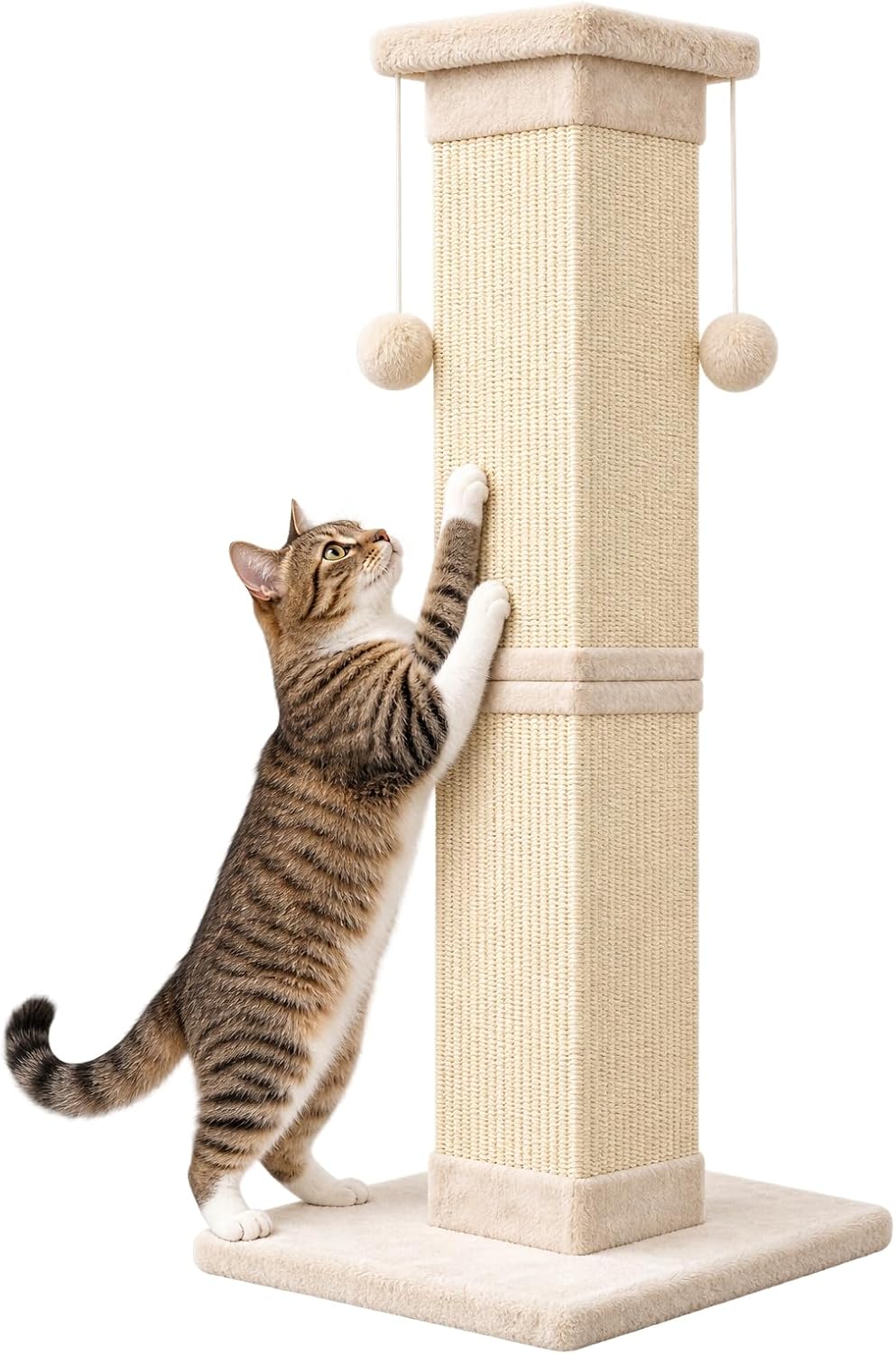 SOCATER Cat Scratching Post 33 Inch, Beige – Essentials for Cats - white