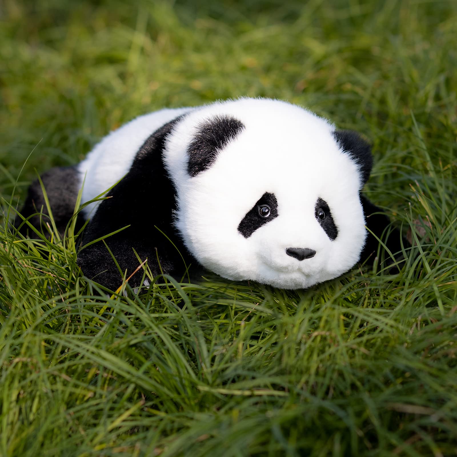 Red Panda Weighted Plush – Snuggle Toy for Stress Relief