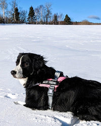 AUROTH Dog Harness for Large Dogs No Pull Tactical Harness and Leash - Pink / L(Neck:19.7"-25.6",Chest:26"-33.9") - image 4