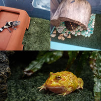 2pcs Reptile Carpet Terrarium Liner Tortoise Bedding Reptile - 2PCS（XL）：23.62 X 15.74 in - image 2