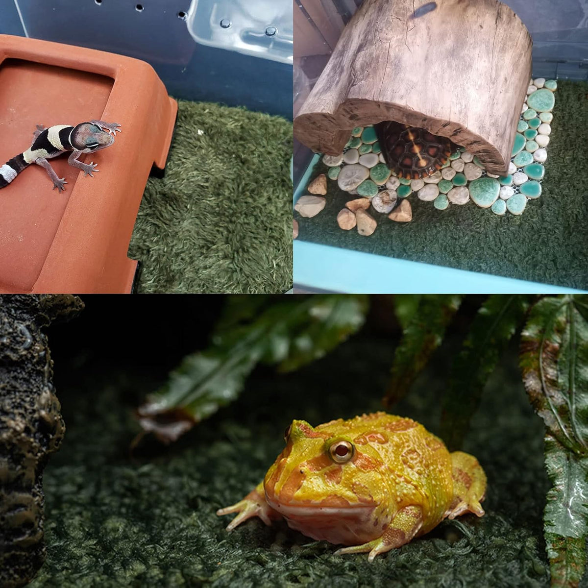 2pcs Reptile Carpet Terrarium Liner Tortoise Bedding Reptile - 2PCS（XL）：23.62 X 15.74 in - image 2