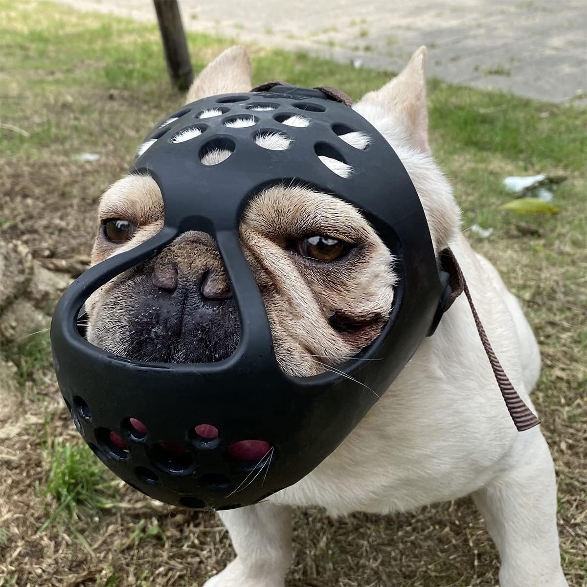 English Bulldog Muzzle, Soft Short Snout Dog Muzzle Stops Biting – Essentials for Dogs - Black / M（Head 15-16½"）