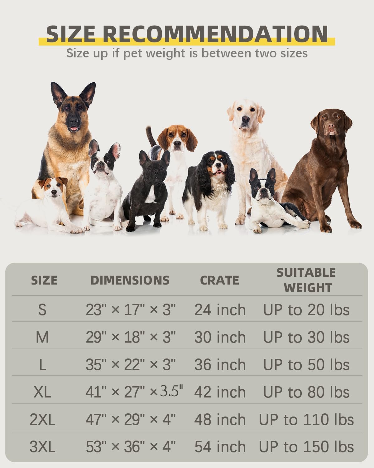 Orthopedic XL Dog Beds Large Sized with Washable Cover, 41x27 - 41.0"L x 27.0"W x 3.5"Th / Dark Gray - image 4