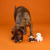 Fringe Studio, Creepy CRAWLY Spiders - Ghouls Wanna Have Fun - image 3