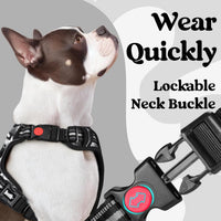 rabbitgoo Dog Harness for Large - Mountain Black / Medium - image 3
