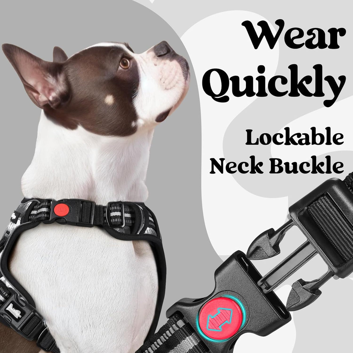 rabbitgoo Dog Harness for Large - Mountain Black / Medium - image 3
