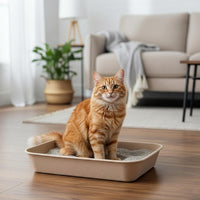 Kitty Sift Disposable Cat Litter Box Large - Litter Box Only / Jumbo (6-Piece Set) - image 4