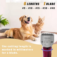 3-Pack 5-in-1 Replacement Blade Compatible with Wahl Animal Bravura - Silver / 1 Pack - image 4