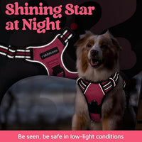 rabbitgoo Dog Harness for Large Dogs, No Pull Pet Vest with 3 Buckles, Adjustable Soft Padded Pet Harness with Easy Control Handle and Reflective Strips, Pink, XL