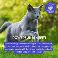 Premium Liquid Glucosamine for Cats – with Collagen, Glucosamine, Chondroitin, MSM, Taurine & Hyaluronic Acid – Cat Joint Support, Mobility & Flexibility - Hip & Joint Cat Supplement – 2oz