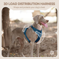 Sunraymascota Dog Harness - M (Neck: 16-26", Chest: 21-31") / Prussian Blue - image 4
