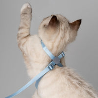 Cat Harness and Leash 2-in-1 - Linen - image 4