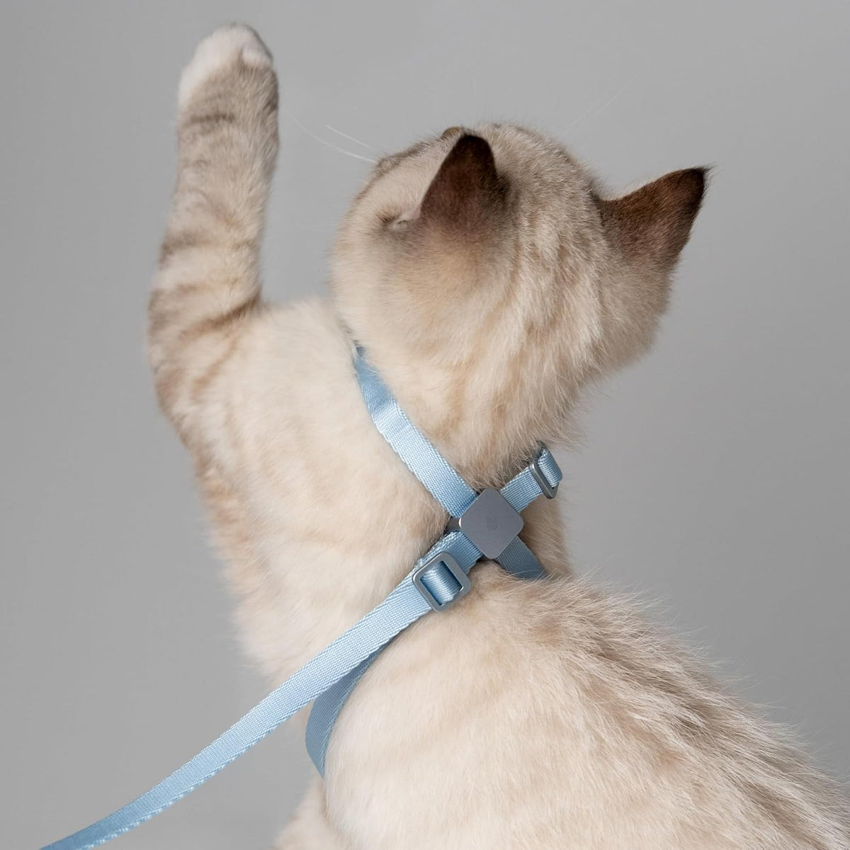 Cat Harness and Leash 2-in-1 - Linen - image 4
