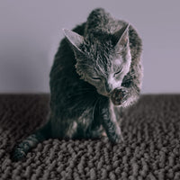 CatGuru Cat Litter Mat, Waterproof Litter Box Mat - Dark/ Heavy-duty / X-Large - image 2
