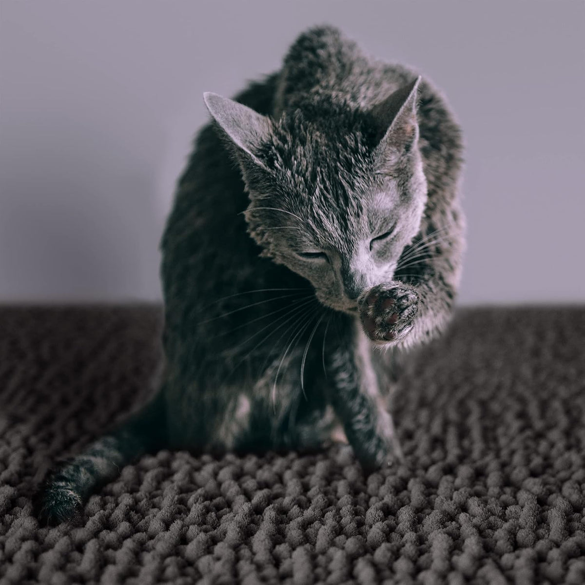 CatGuru Cat Litter Mat, Waterproof Litter Box Mat - Dark/ Heavy-duty / X-Large - image 2
