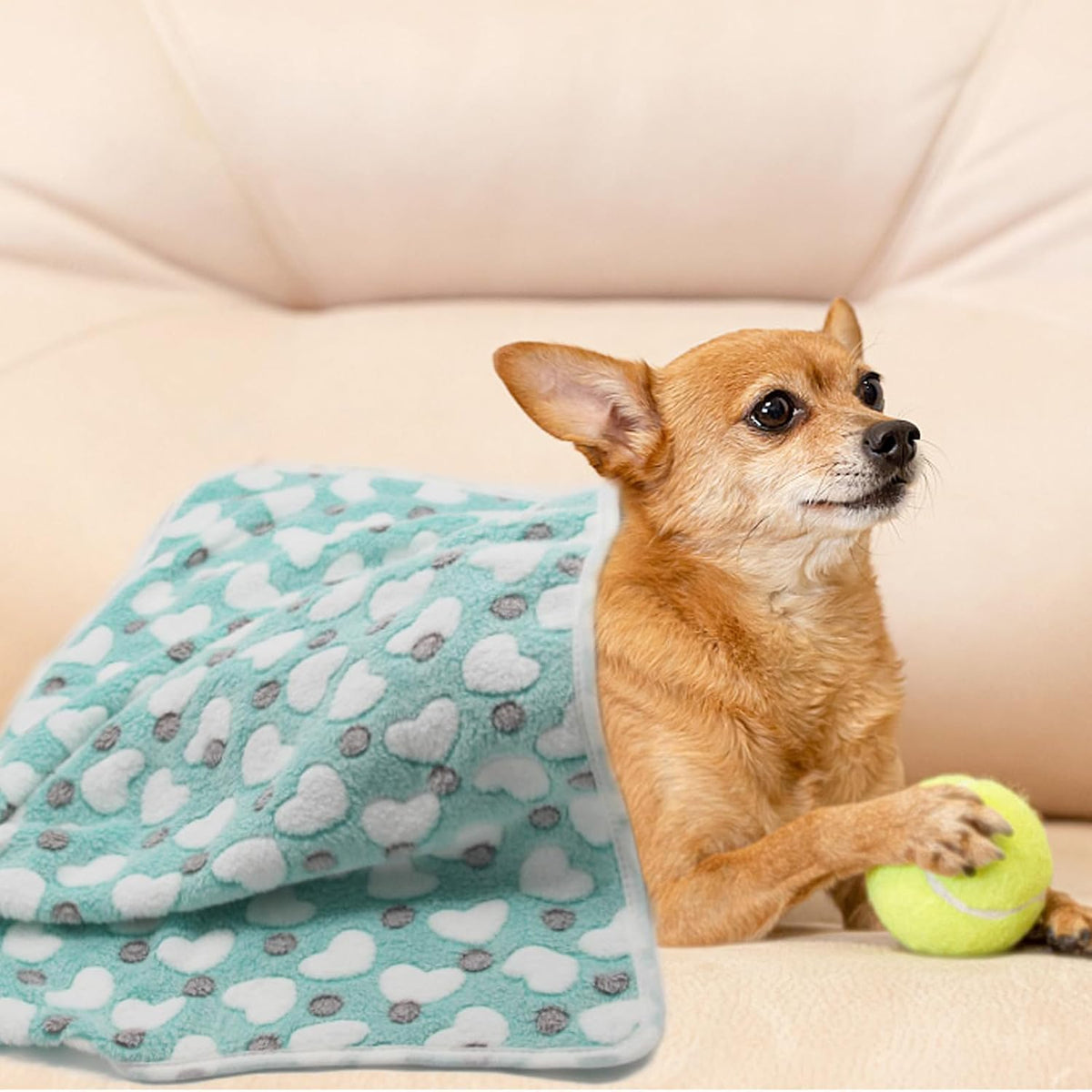 1 Pack 3 Puppy Blanket, Fleece Pet Small Dog Blanket for Puppy Cat, 40"x30" – Essentials for Dogs - Small(23"x15") / Mix Love Series - image 3