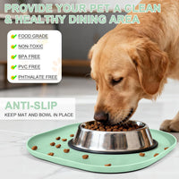 SMILOOL Waterproof Silicone Pet Food Mat with Raised Edge for Dog - Mint Green / 12"L x 12"W - image 3