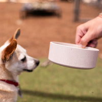 Loving Pets, Dolce Bamboo - Oat Beige / Small Dish - image 2