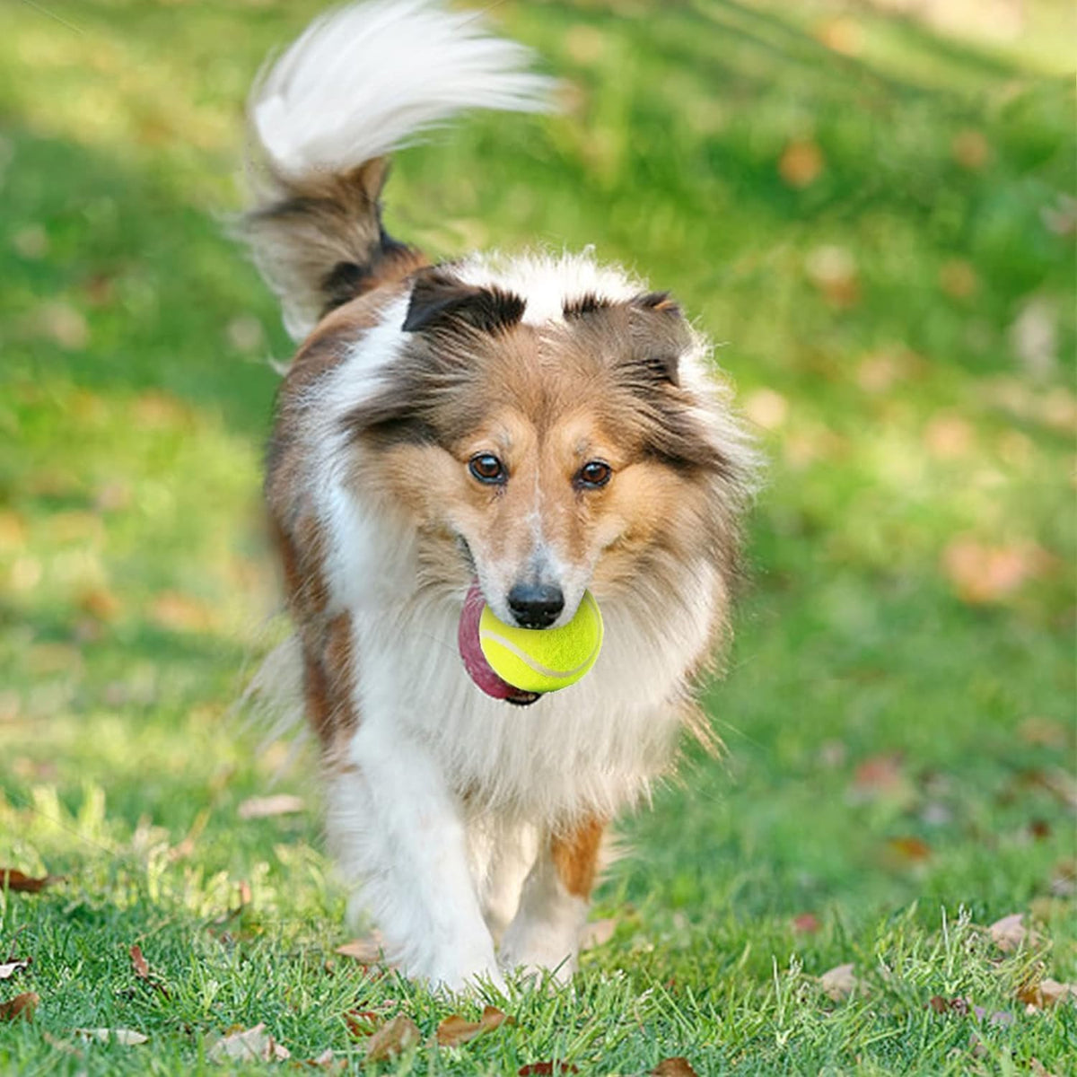 MEKAPLE Automatic Dog Ball Launcher - Mini Balls - 6 Pack - image 4
