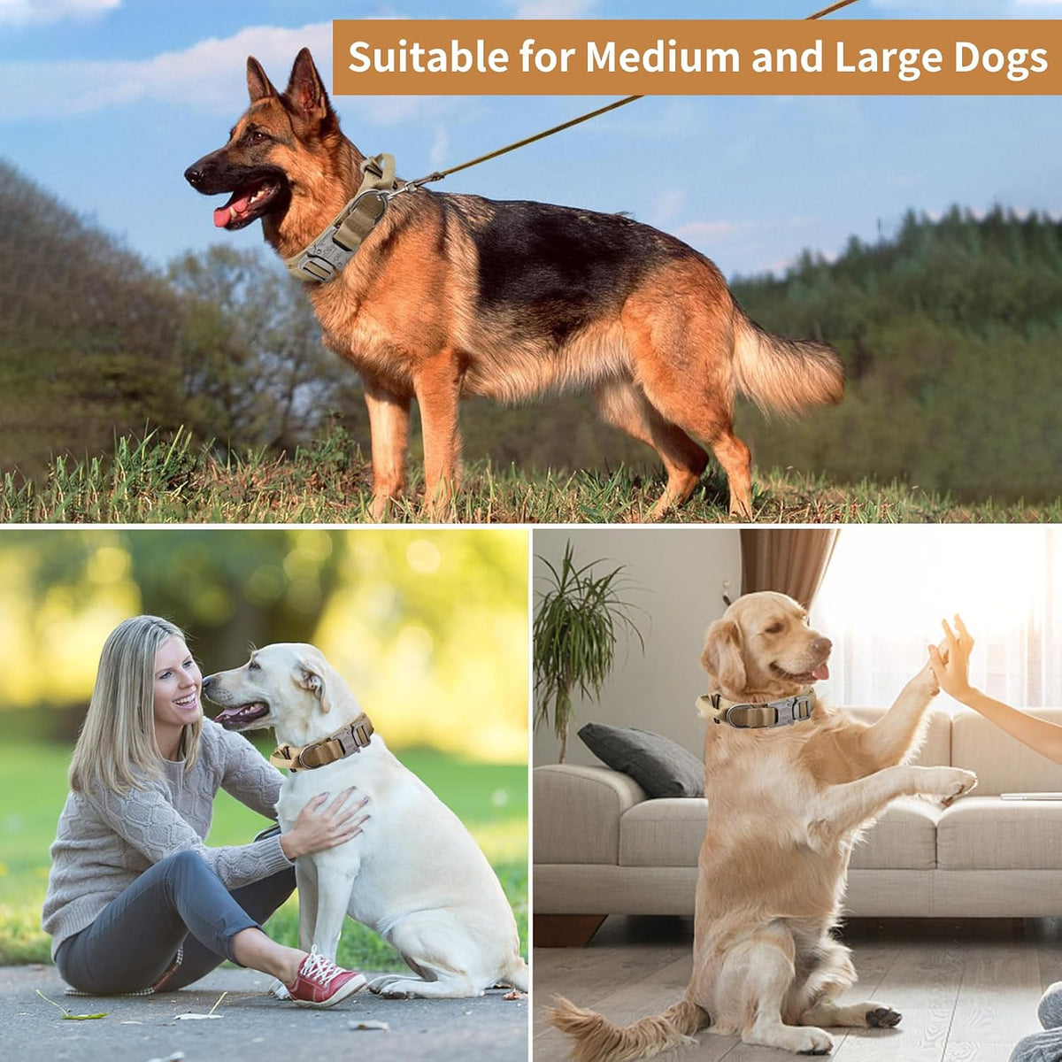 Tactical Dog Collar - Dog Collar with Control Handle for Medium Large Dogs – Essentials for Dogs - Brown / XL - image 3