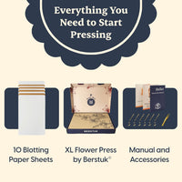 Mini Flower Press Kit for Adults - XL / Beige - image 3