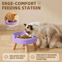 Elevated Cat Bowls, 2P Raised Cat Food and Water Bowl Set for Indoor Cats, Splash Proof with 2 - 2P Cat Bowls - Purple - image 4