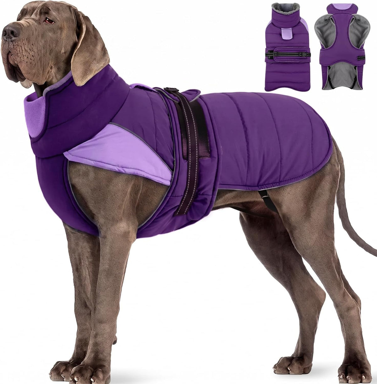 MIGOHI Warm Dog Jacket, Waterproof Dog Coat with Fur Collar, S - Purple / XXX-Large
