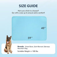 MICROCOSMOS Summer Cooling Mat & Sleeping Pad- Water Absorption Top, Materials Safe, Easy Carry, EZ Clean. Keep Cooling for Pets, Kids and Adults.(Blue, 59" x 40")