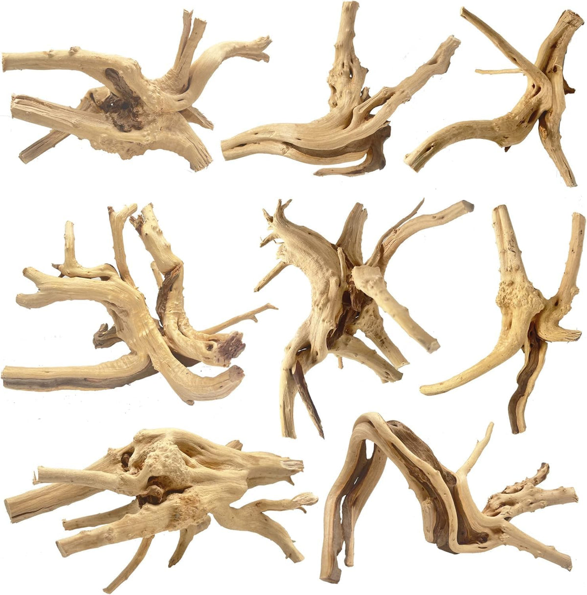 Natural Aquarium Driftwood for Fish Tank Reptile Terrariums Decor – Essentials for Fish - Spiderwood 4 to 8 Inch (Pack of 8)