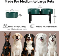 Raised Ceramic Dog Bowl Set with Stand - Green / 2 Bowls - 7.5 Cups Each - image 2