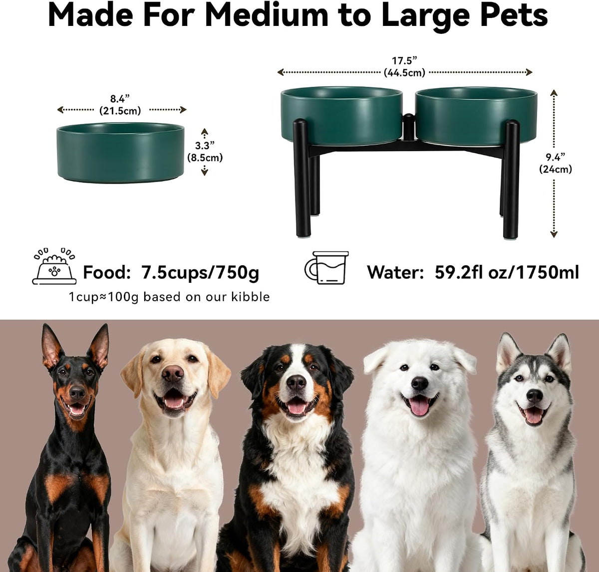 Raised Ceramic Dog Bowl Set with Stand - Green / 2 Bowls - 7.5 Cups Each - image 2